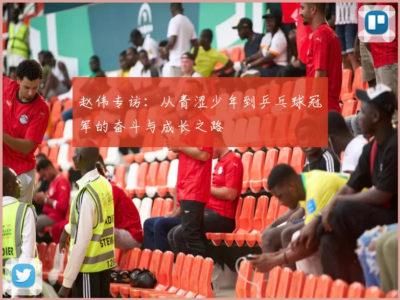 赵伟专访：从青涩少年到乒乓球冠军的奋斗与成长之路