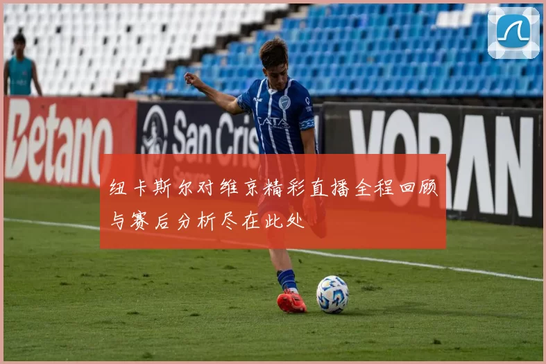 纽卡斯尔对维京精彩直播全程回顾与赛后分析尽在此处