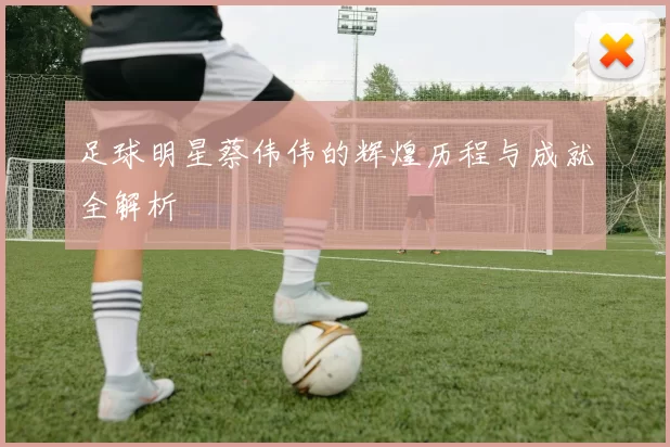 足球明星蔡伟伟的辉煌历程与成就全解析