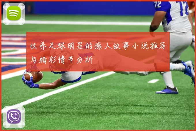 收养足球明星的感人故事小说推荐与精彩情节分析