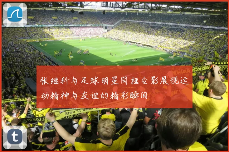 张继科与足球明星同框合影展现运动精神与友谊的精彩瞬间