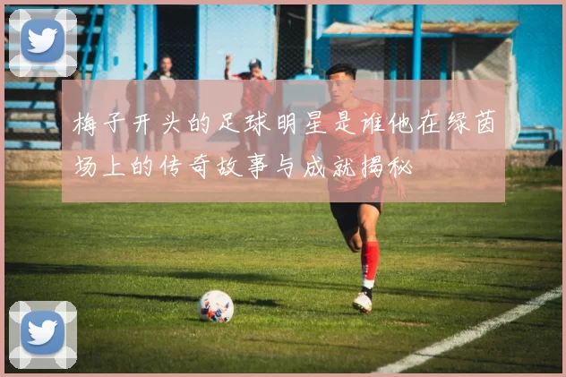 梅子开头的足球明星是谁他在绿茵场上的传奇故事与成就揭秘