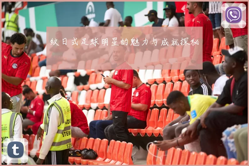 纹日式足球明星的魅力与成就探秘