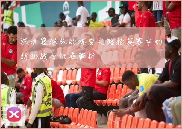 深圳篮球队的蜕变之路精英赛中的新挑战与机遇解析