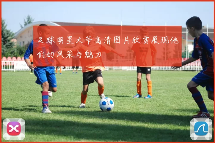 足球明星大爷高清图片欣赏展现他们的风采与魅力