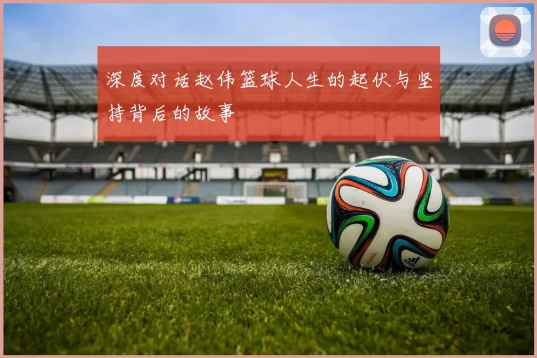 深度对话赵伟篮球人生的起伏与坚持背后的故事