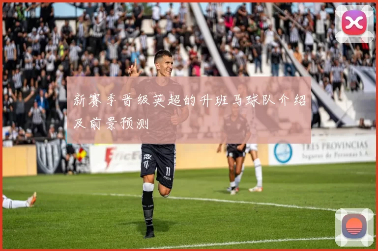 新赛季晋级英超的升班马球队介绍及前景预测