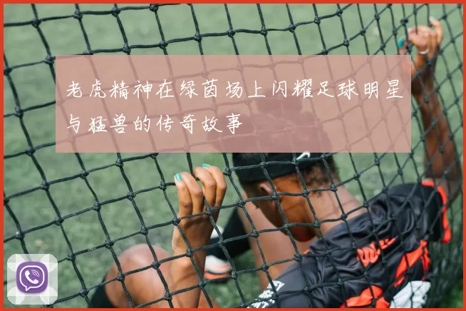 老虎精神在绿茵场上闪耀足球明星与猛兽的传奇故事