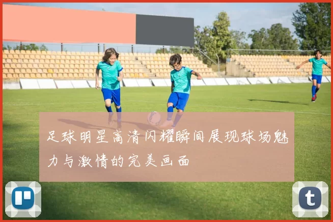 足球明星高清闪耀瞬间展现球场魅力与激情的完美画面