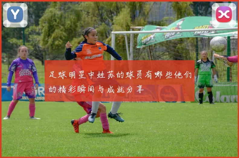 足球明星中姓苏的球员有哪些他们的精彩瞬间与成就分享