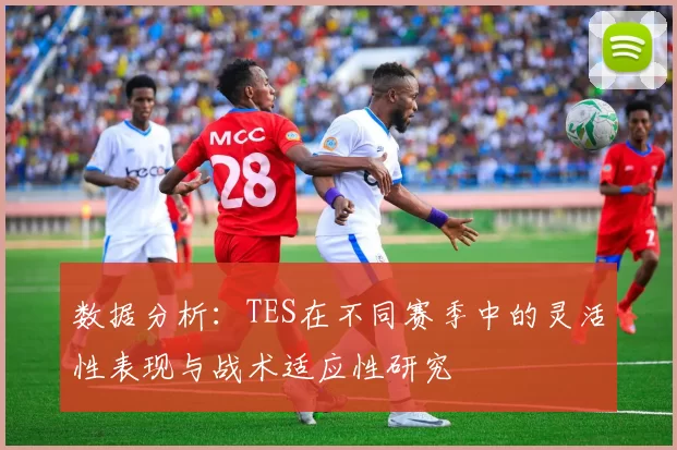 数据分析：TES在不同赛季中的灵活性表现与战术适应性研究