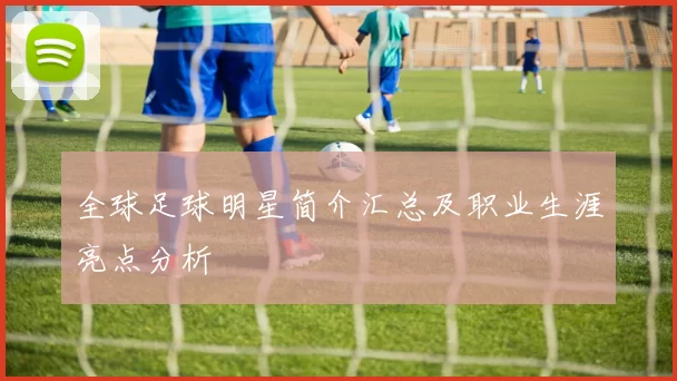 全球足球明星简介汇总及职业生涯亮点分析