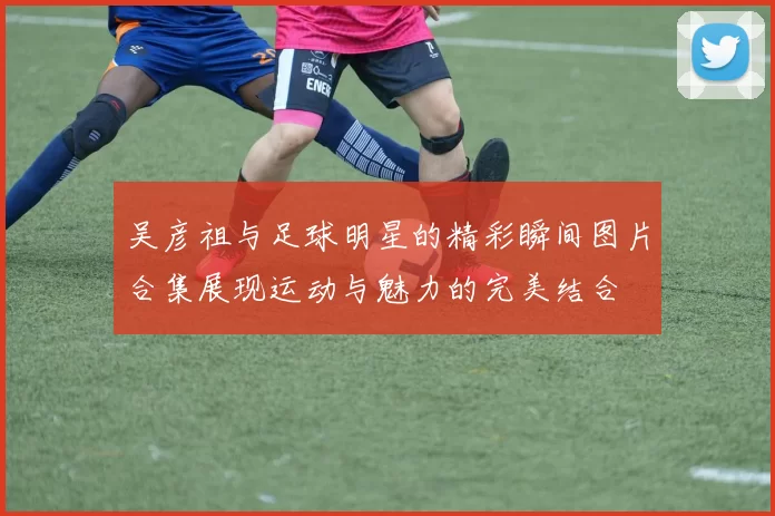 吴彦祖与足球明星的精彩瞬间图片合集展现运动与魅力的完美结合