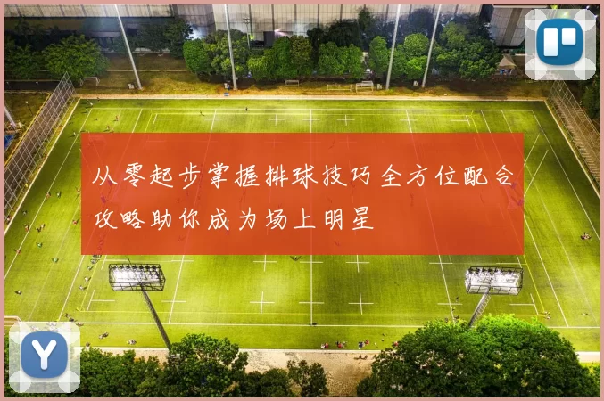 从零起步掌握排球技巧全方位配合攻略助你成为场上明星