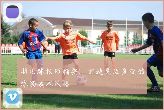 羽毛球技巧精要：打造灵活多变的球场战术风格