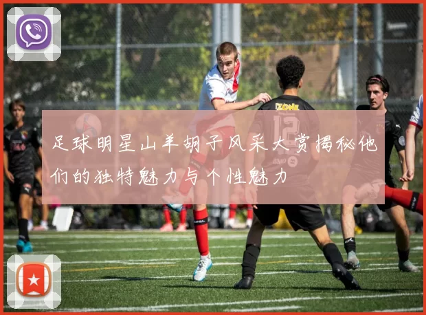 足球明星山羊胡子风采大赏揭秘他们的独特魅力与个性魅力