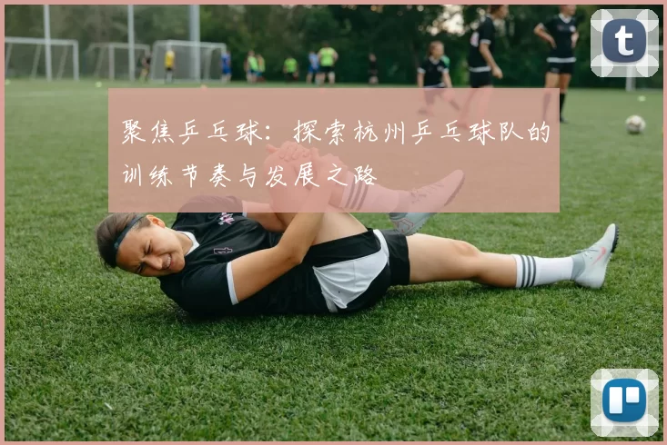 聚焦乒乓球：探索杭州乒乓球队的训练节奏与发展之路