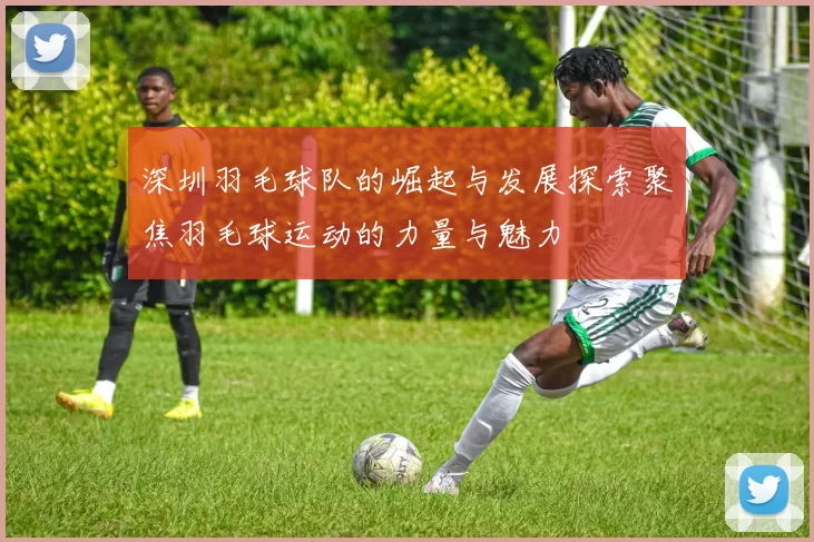 深圳羽毛球队的崛起与发展探索聚焦羽毛球运动的力量与魅力