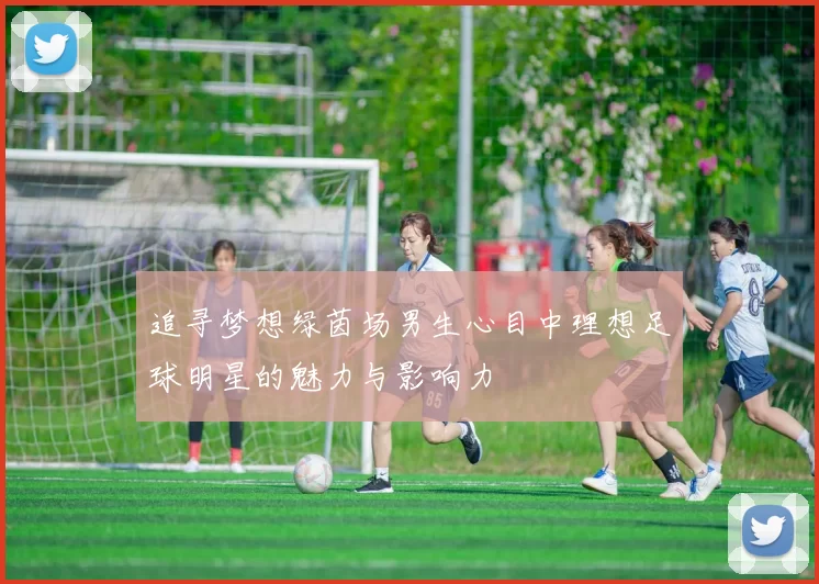 追寻梦想绿茵场男生心目中理想足球明星的魅力与影响力