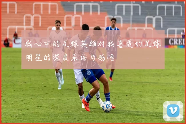 我心中的足球英雄对我喜爱的足球明星的深度采访与感悟