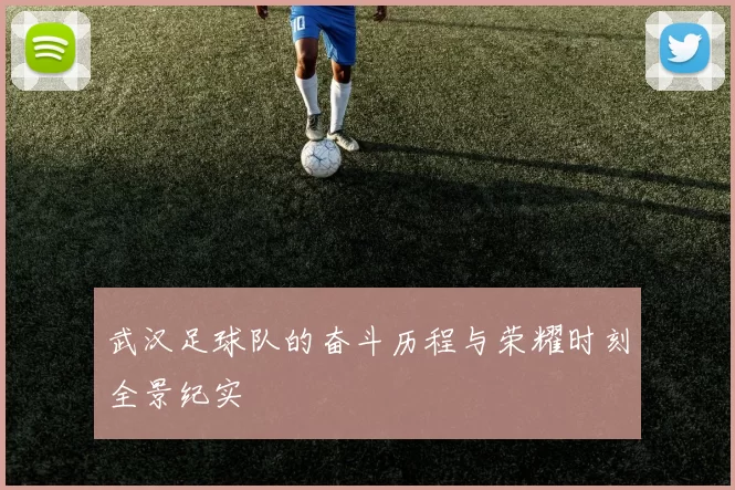 武汉足球队的奋斗历程与荣耀时刻全景纪实