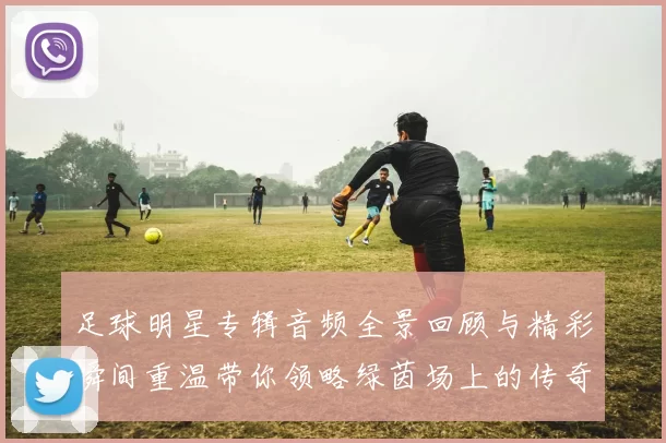 足球明星专辑音频全景回顾与精彩瞬间重温带你领略绿茵场上的传奇故事