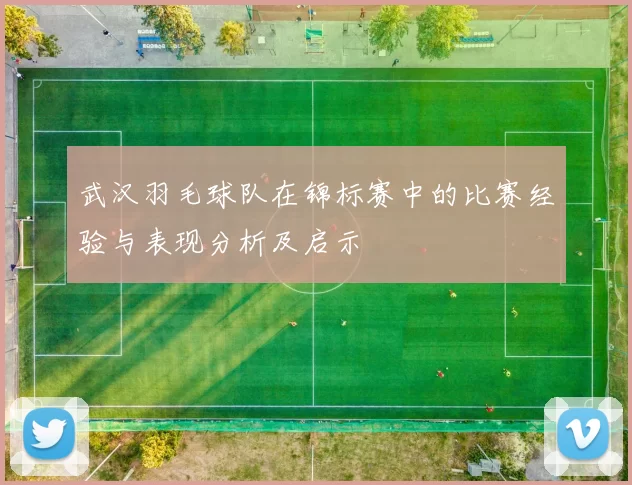 武汉羽毛球队在锦标赛中的比赛经验与表现分析及启示