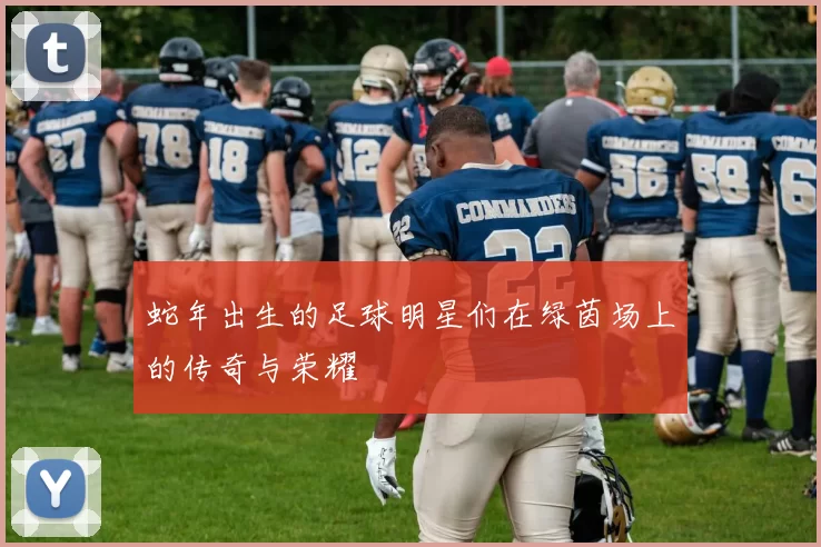蛇年出生的足球明星们在绿茵场上的传奇与荣耀