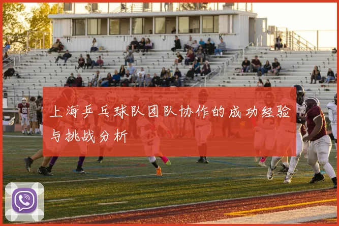 上海乒乓球队团队协作的成功经验与挑战分析