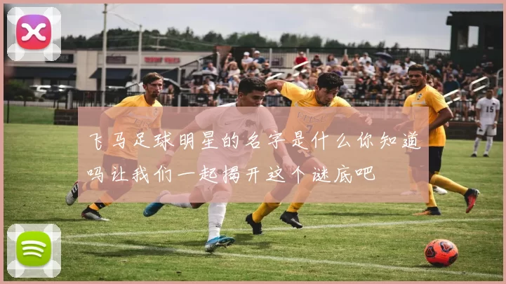 飞马足球明星的名字是什么你知道吗让我们一起揭开这个谜底吧